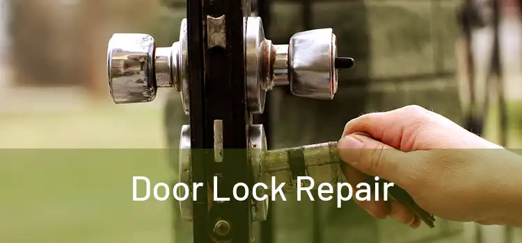 Door Lock Repair
